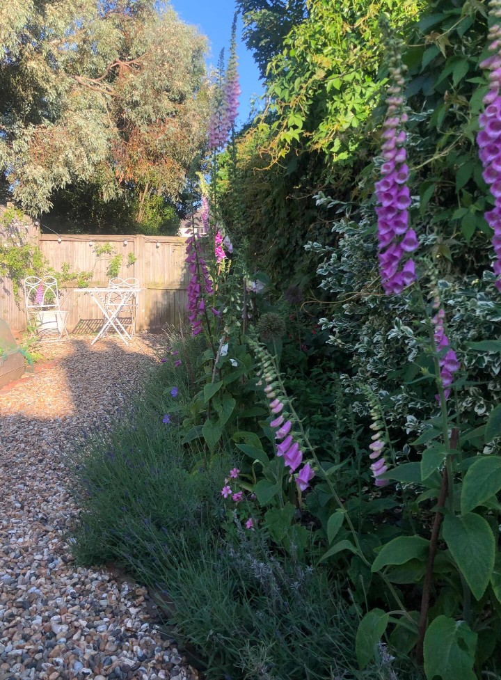 Beautiful garden - Juniper Cottage