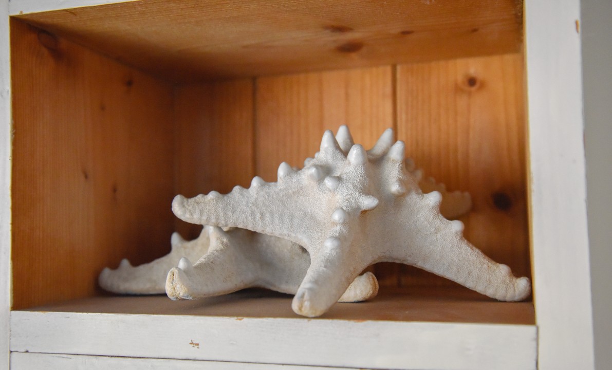 the roost living room seaside decoration